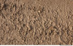 Ground Soil